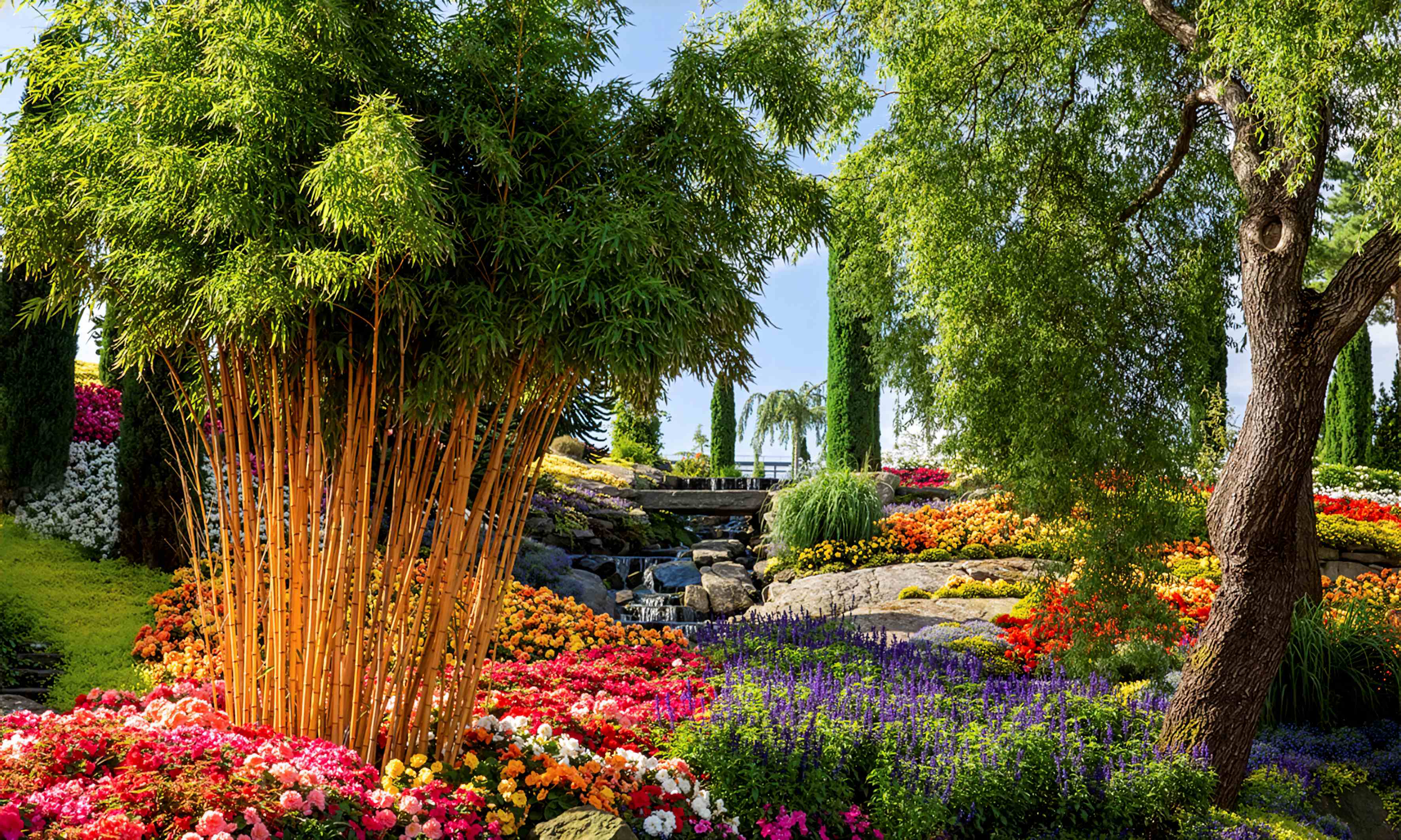 Stavanger med Flor og Fjære